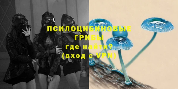 спиды Дмитров