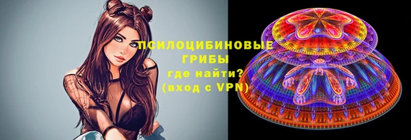 молекула духа Дмитровск