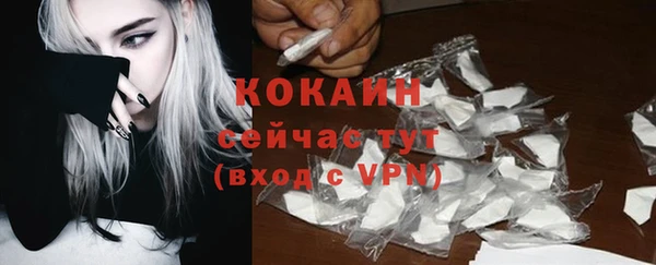 молекула духа Дмитровск