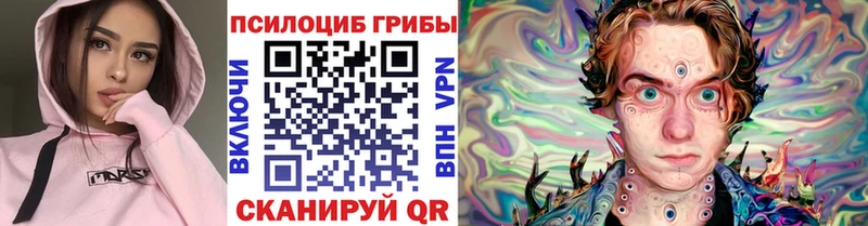 дарк нет какой сайт  цена наркотик  Ессентукская  Псилоцибиновые грибы Psilocybine cubensis 